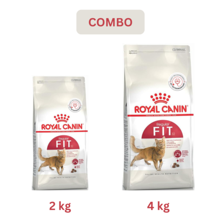 Royal Canin Fit 32 Adult Dry Cat Food Combo 2 Kg + 4 Kg